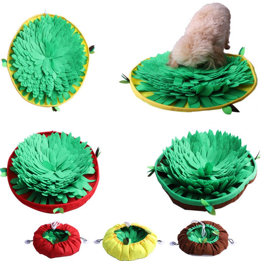 Hide & Seek Puzzle Feeder for Dogs