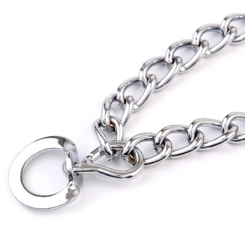 Dog Training Set – Collar, Sleeve & Leash