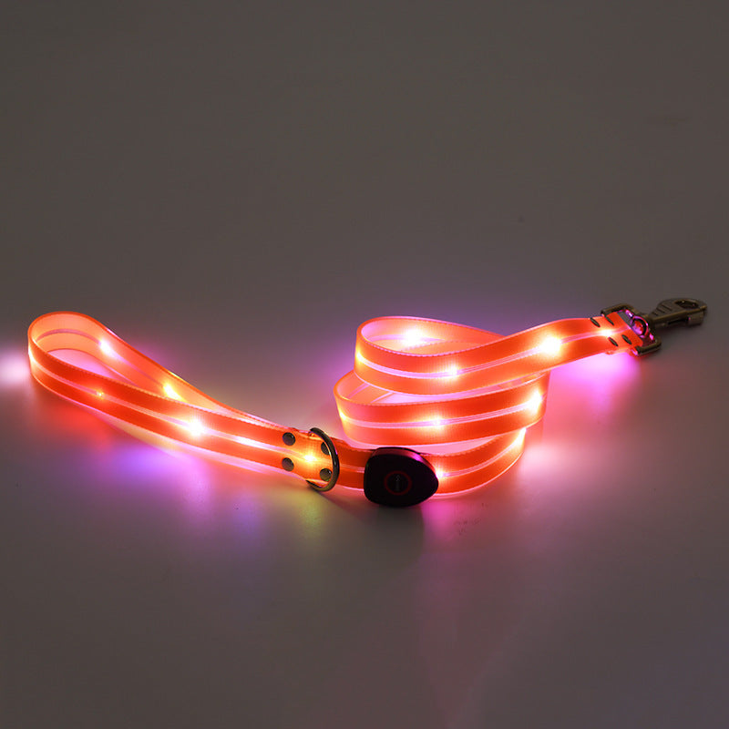 LED Luminous Collar for Safer Evening Walks
