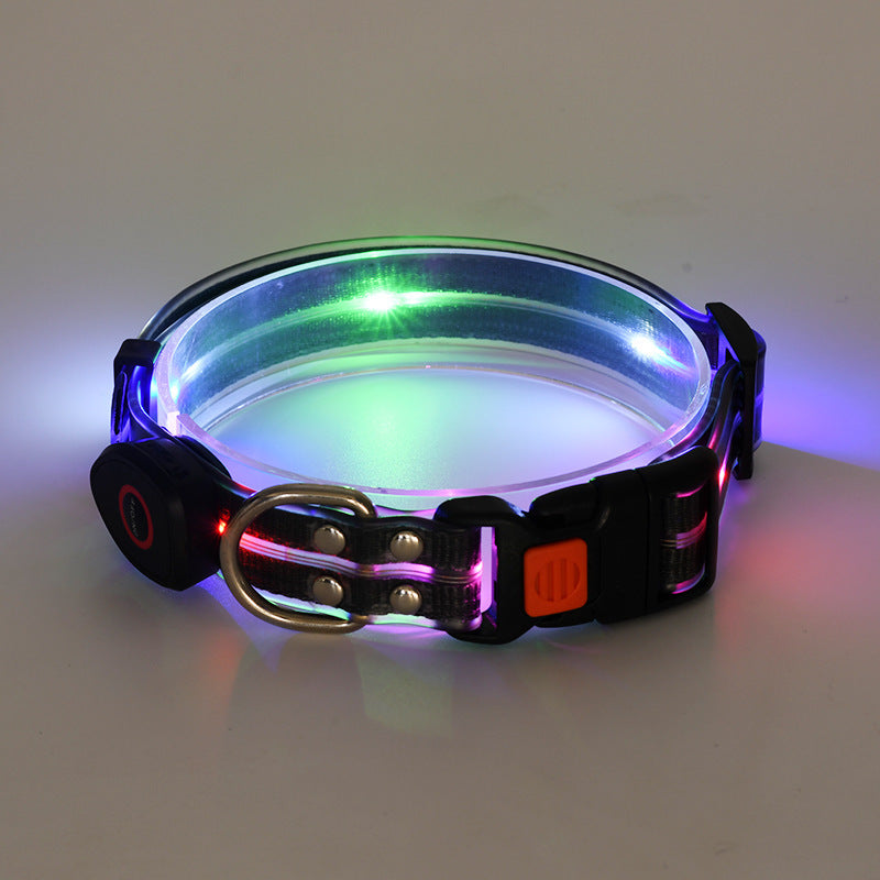 LED Luminous Collar for Safer Evening Walks