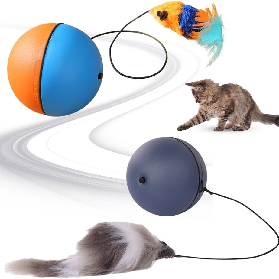 Motion-Activated Rolling Ball for Cats