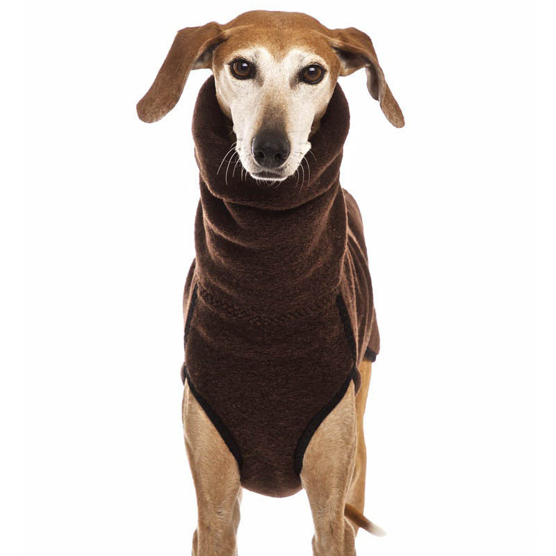 Windproof Winter Dog Coat