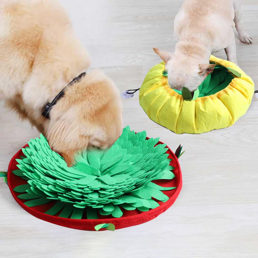 Hide & Seek Puzzle Feeder for Dogs