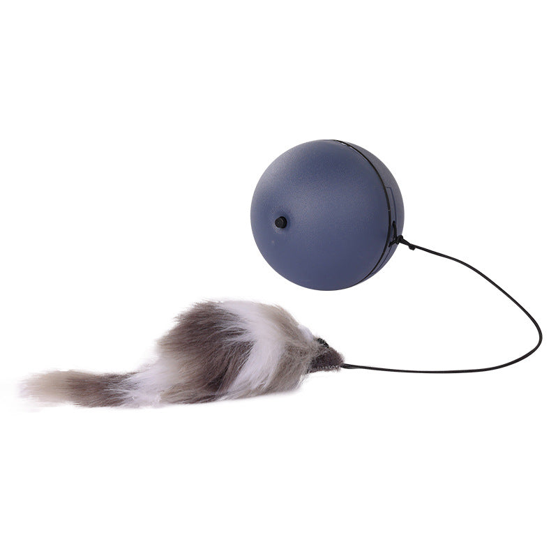 Motion-Activated Rolling Ball for Cats