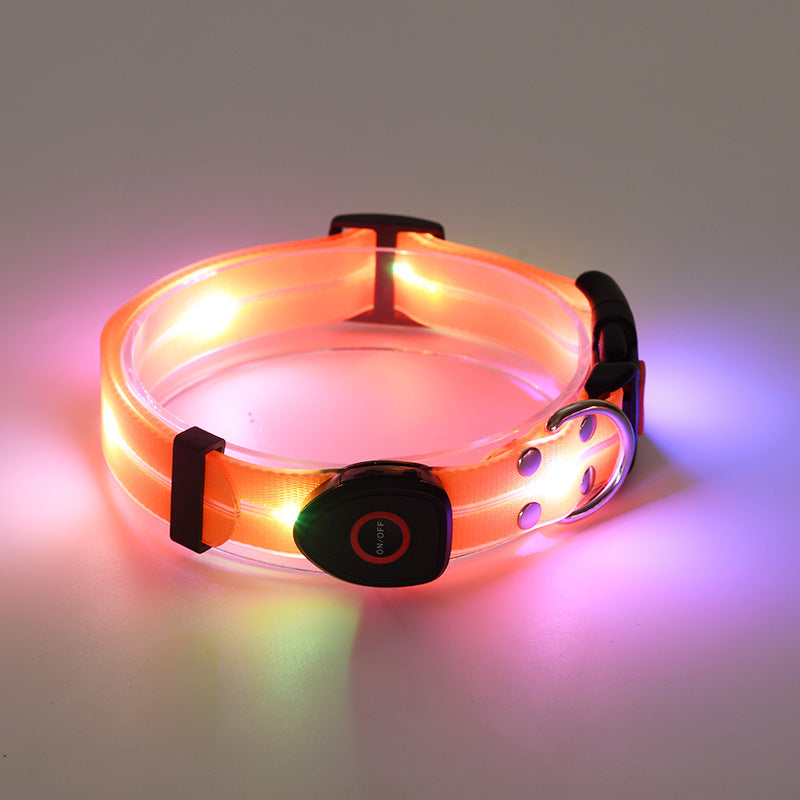 LED Luminous Collar for Safer Evening Walks