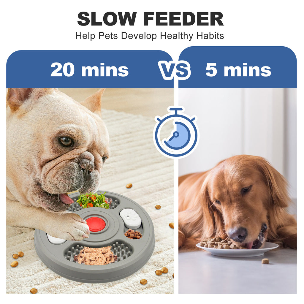 Slow Feeder Bowl for Healthy, Fun, and Safe Mealtime