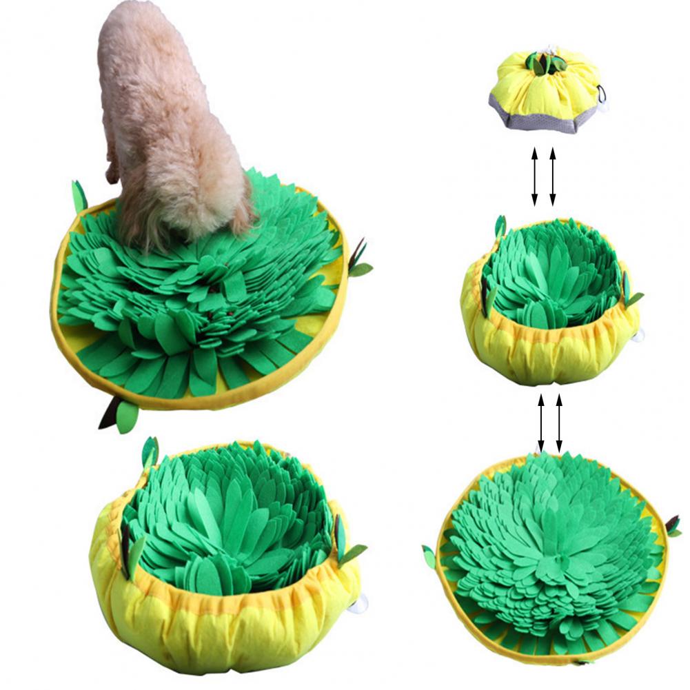 Hide & Seek Puzzle Feeder for Dogs