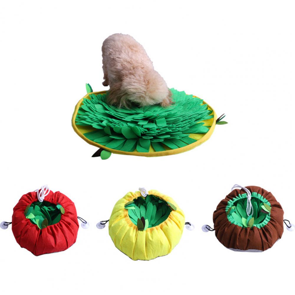 Hide & Seek Puzzle Feeder for Dogs