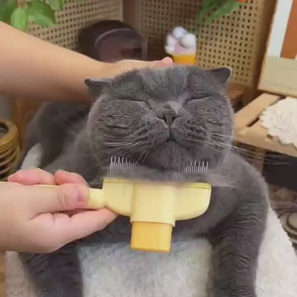 Magic Pet Hair Removal Comb