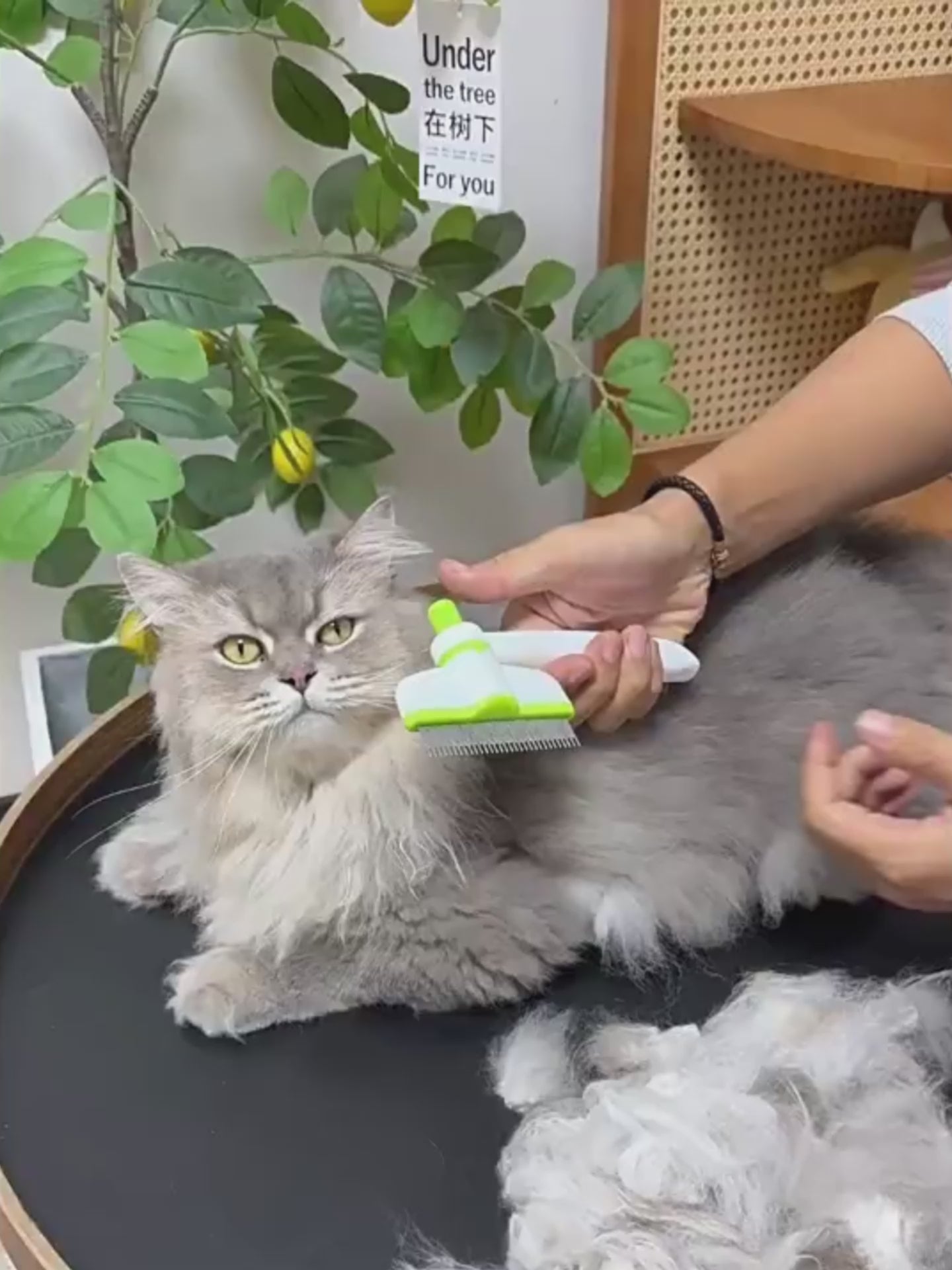 Magic Pet Hair Removal Comb