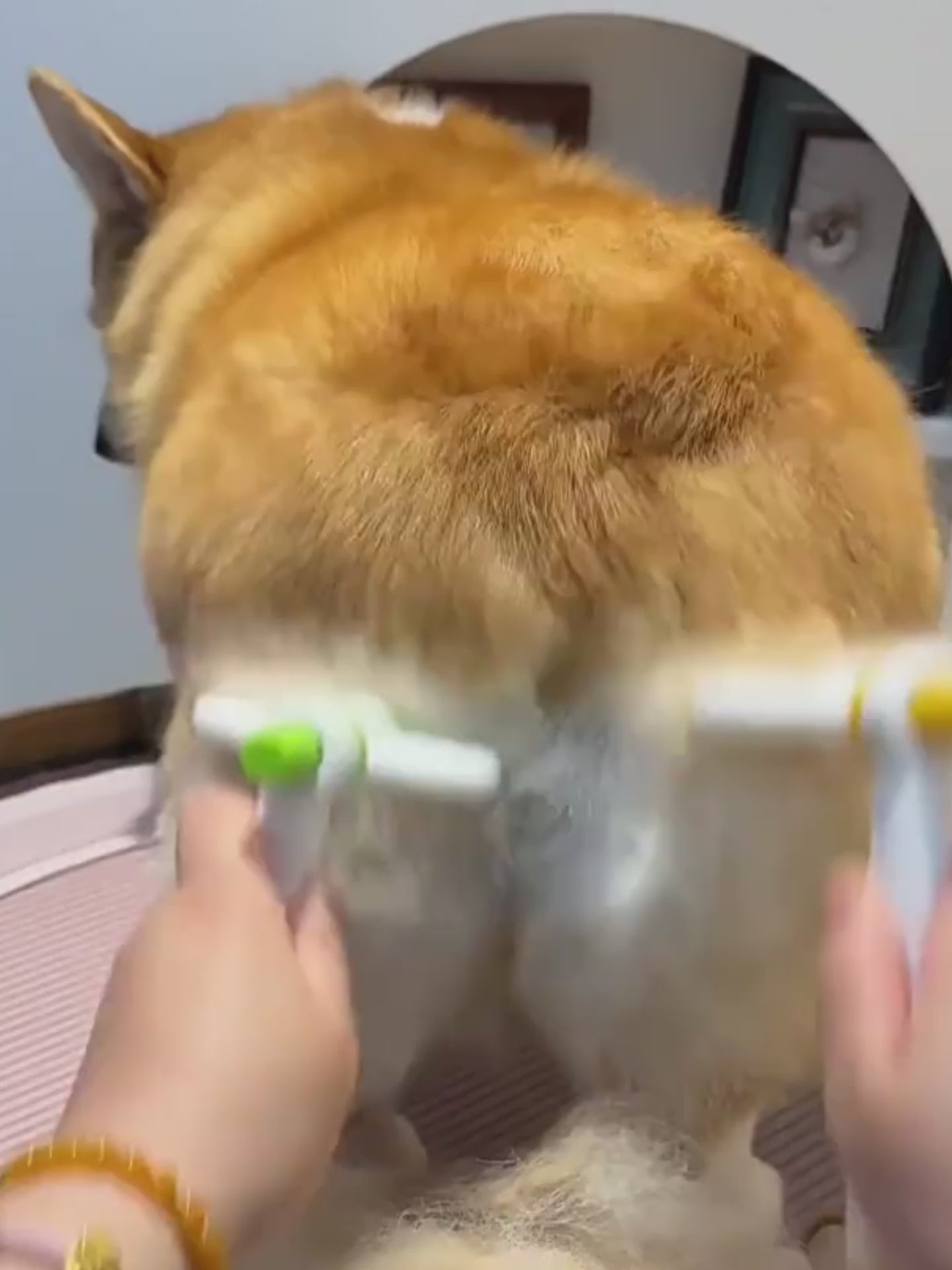 Magic Pet Hair Removal Comb