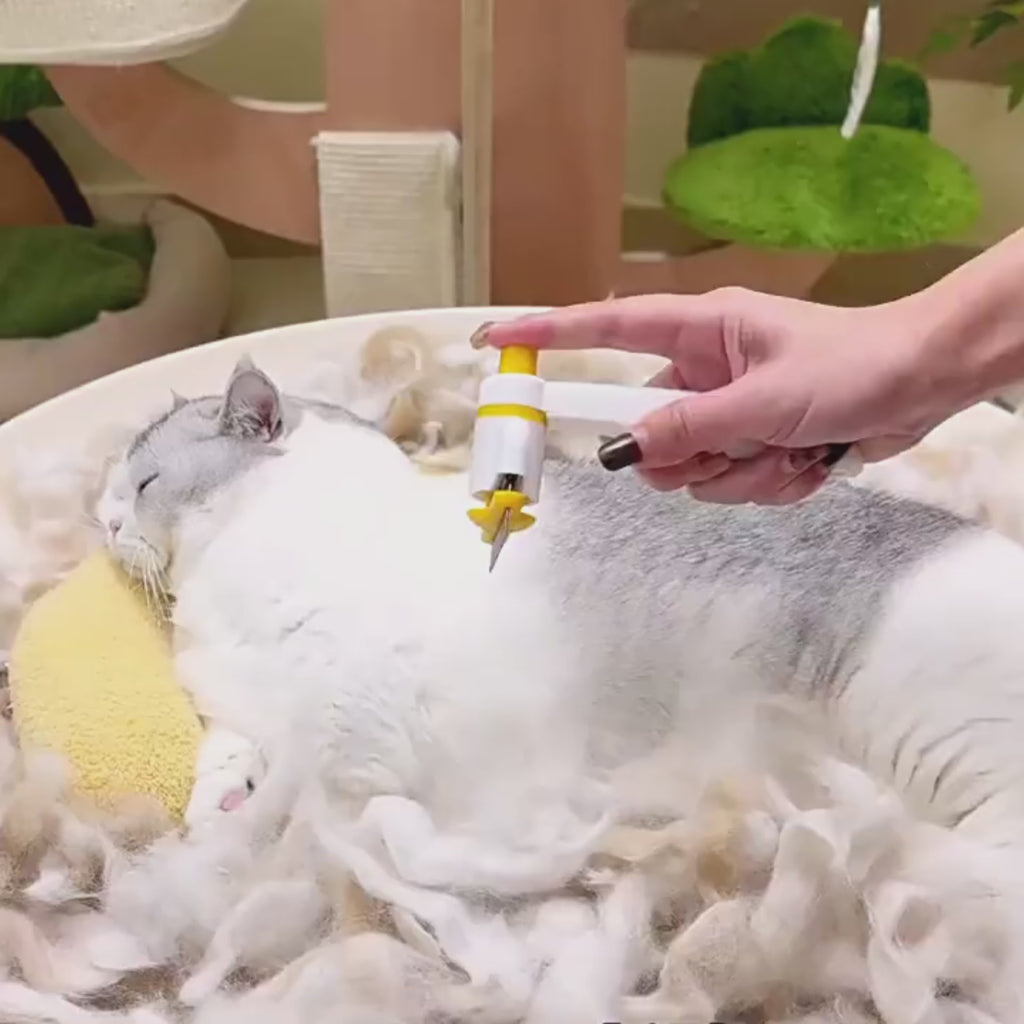 Magic Pet Hair Removal Comb