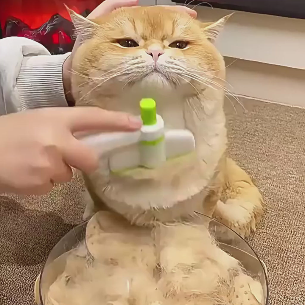 Magic Pet Hair Removal Comb