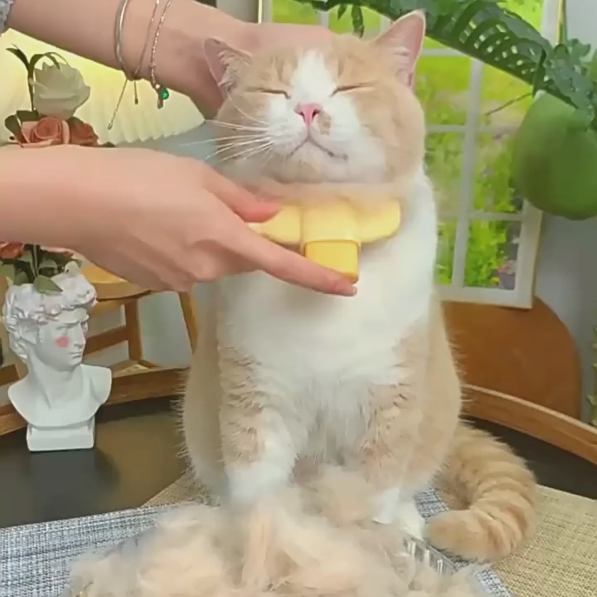 Magic Pet Hair Removal Comb